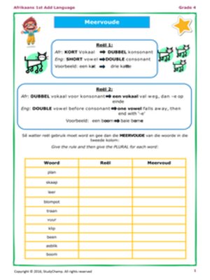 cover image of Grade 4 Afrikaans: Meervoude